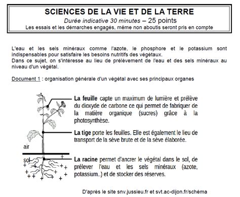 Révisions Brevet SVT .